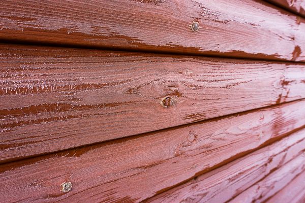 Cedar Siding Cleaning in Charleston
