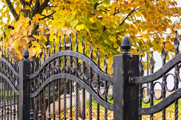 Wrought Iron Fence Washing in Charleston