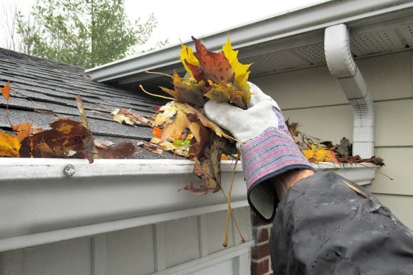 Eaves Cleaning in Charleston
